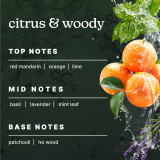 Highlights the top, mid, and base notes of Homedics® SereneScent™ Mandarin & Basil's fragrance.