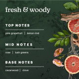 Highlights the top, mid, and base notes of Homedics® SereneScent™ Tokyo Tea's fragrance.