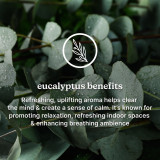 eucalyptus benefits-Refreshing, uplifting aroma helps clear the mind & create a sense of calm. It's known for promoting relaxation, refreshing indoor spaces & enhancing breathing ambience