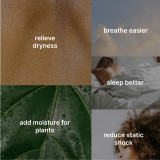 Benefits of humidifiers: relieve dryness, breathe easier, sleep better, add moisture for plants, reduce static shock